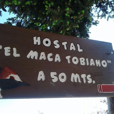 לוס אנטיגואוס Hostel El Maca Tobiano מראה חיצוני תמונה